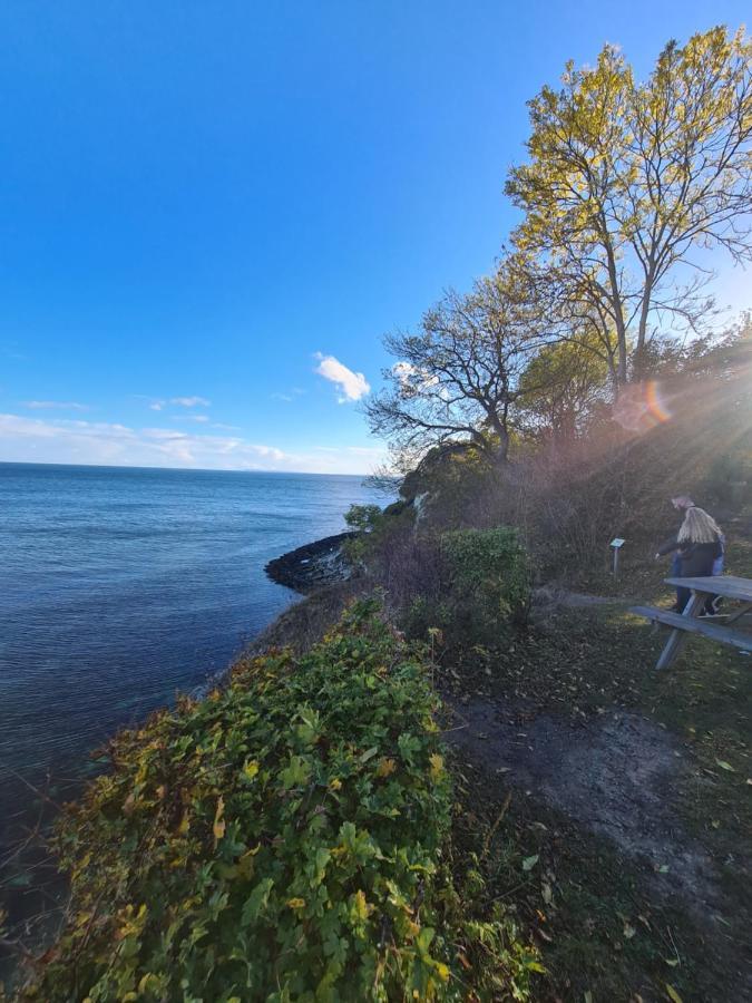 Danhostel Stevns Klint Store Heddinge Esterno foto
