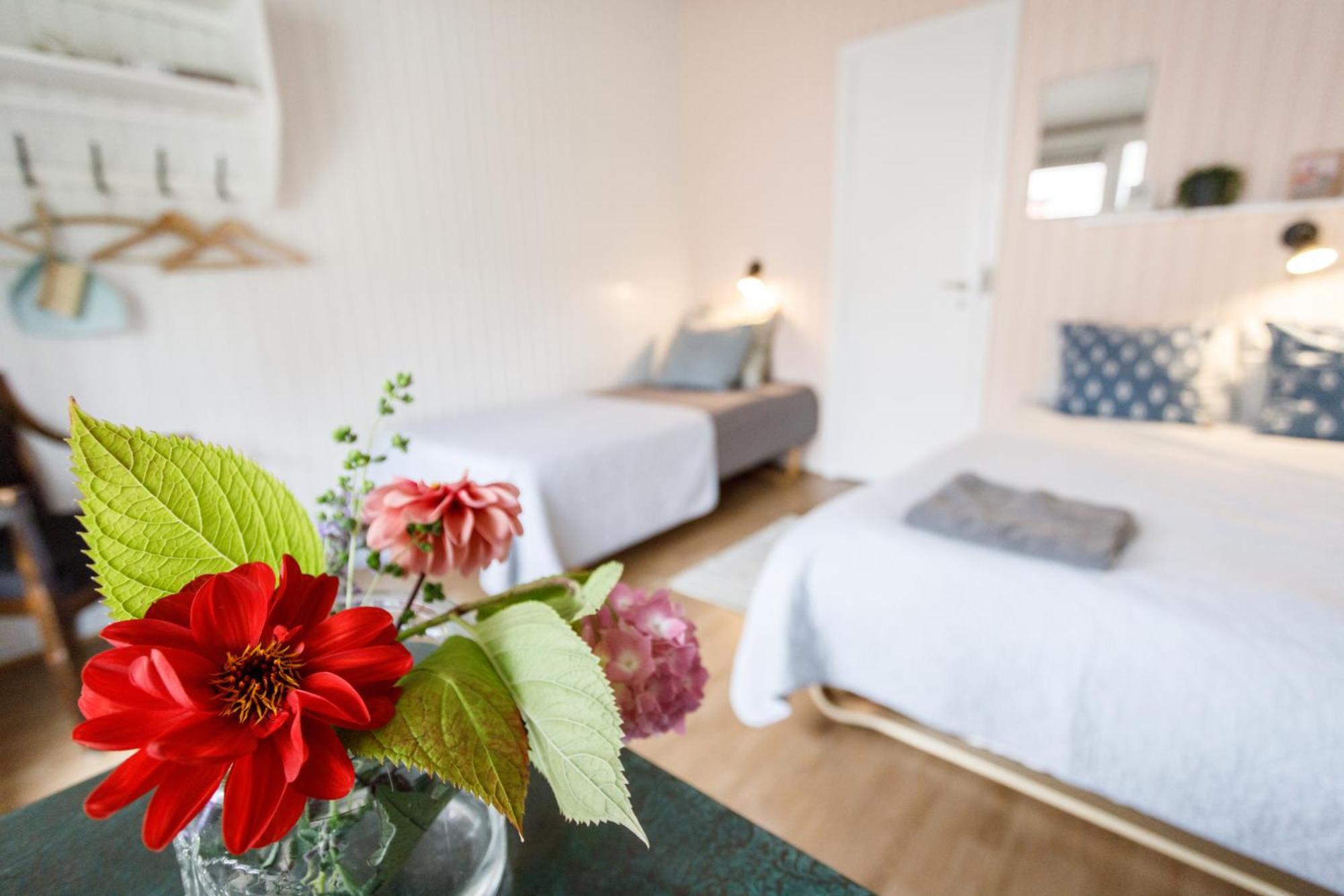 Danhostel Stevns Klint Store Heddinge Esterno foto